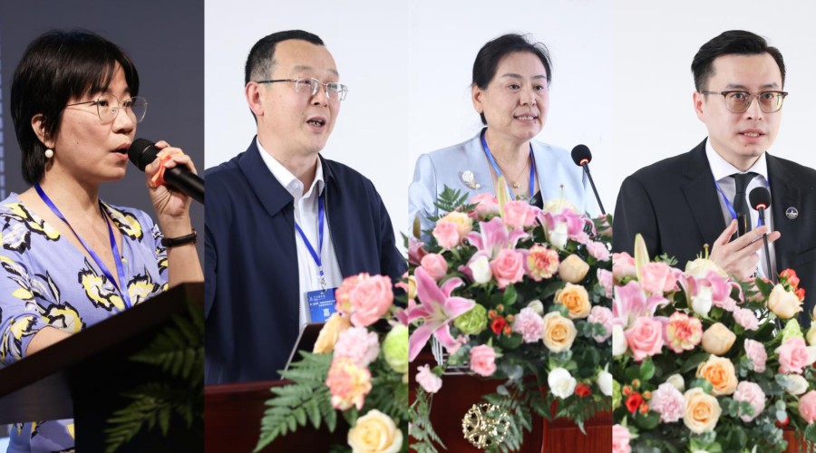 3044永利集团官网