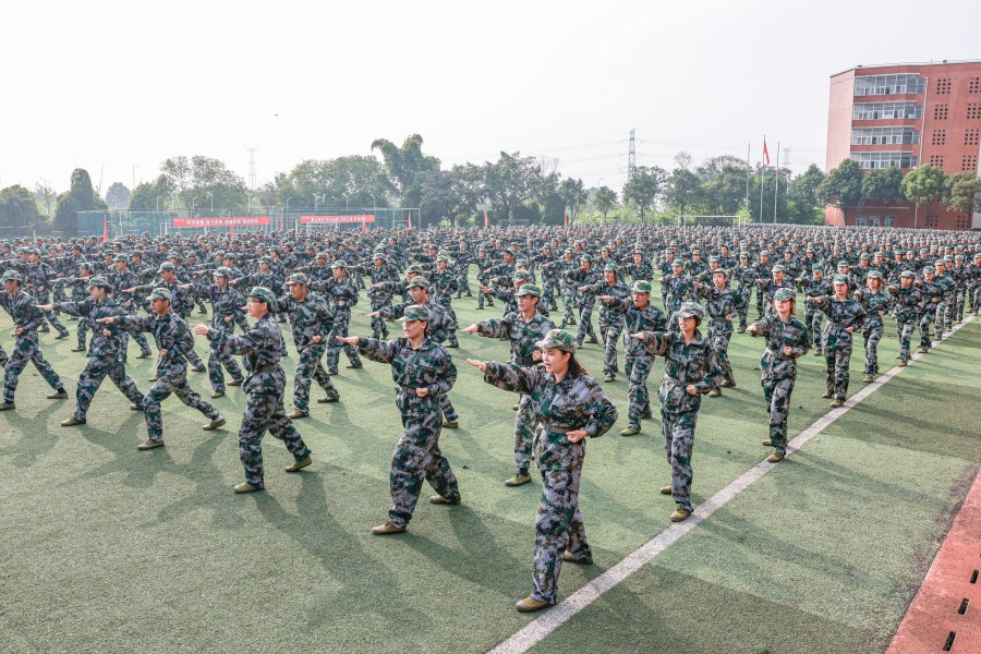 3044永利集团官网