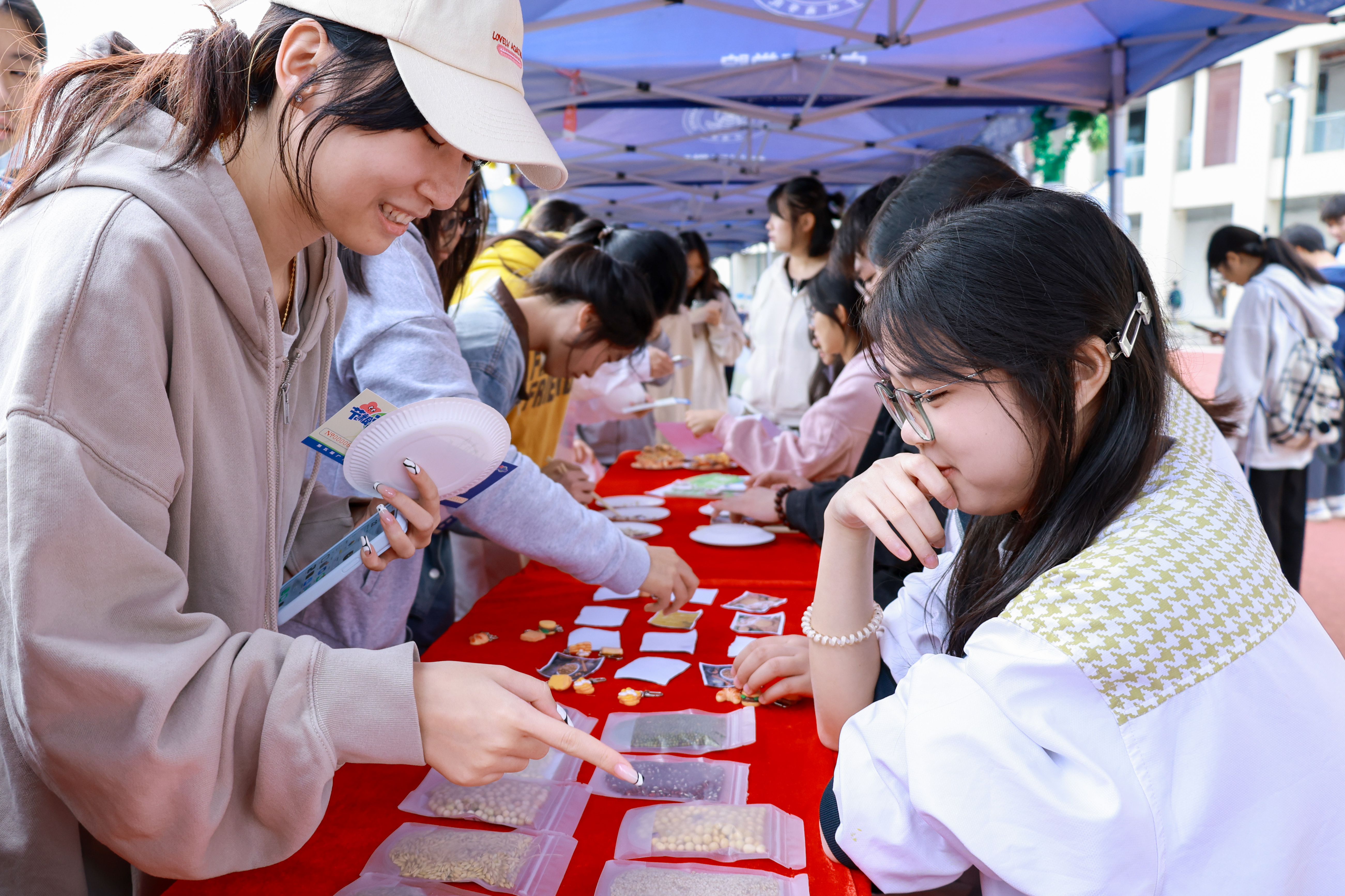 3044永利集团官网
