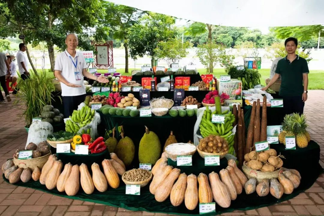 3044永利集团官网