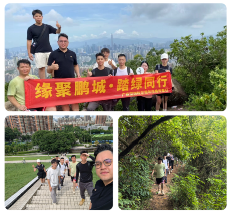 3044永利集团官网