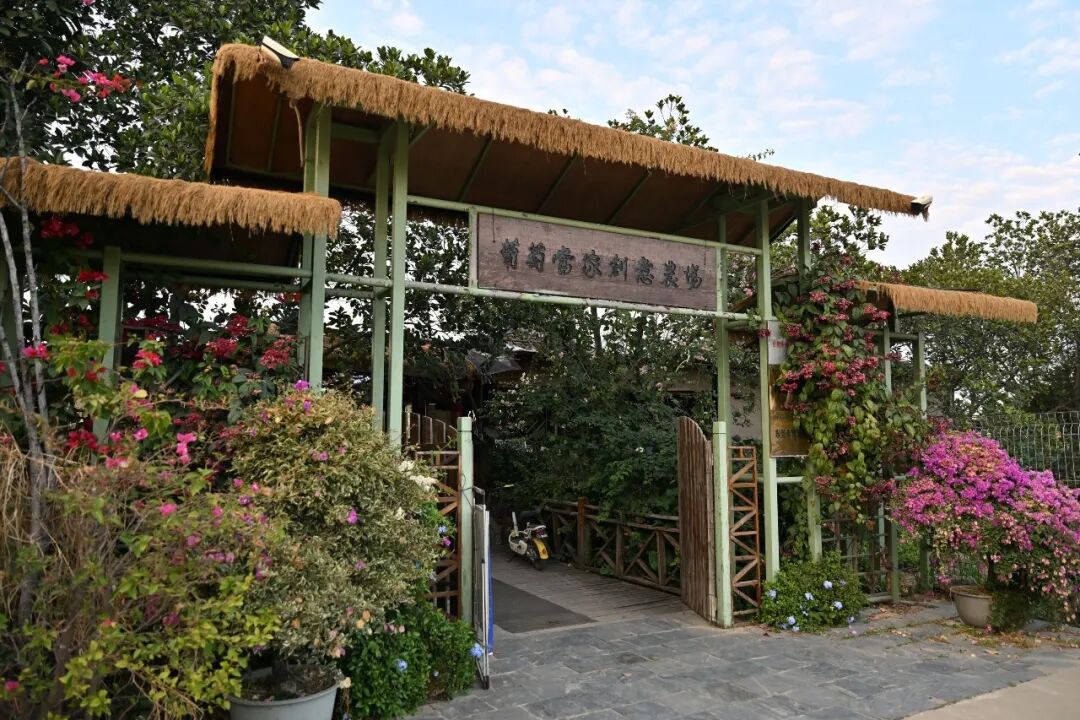 3044永利集团官网