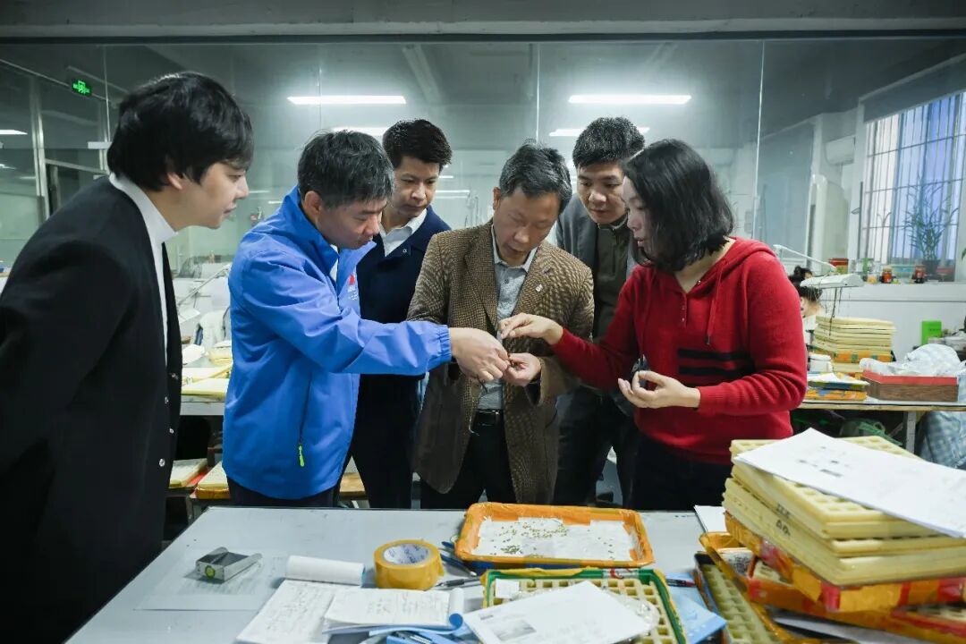 3044永利集团官网